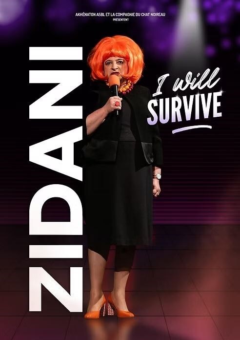 ZIDANI - I Will Survive